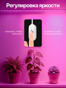 Огонек OG-LDL38 Розовая фито-лента USB (3м, IP65)